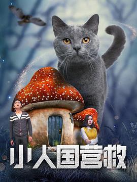 综合网在线视频