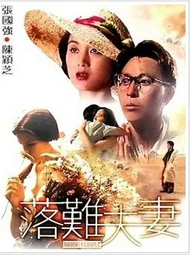 啪免费