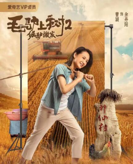 97影院在线观看理论片app