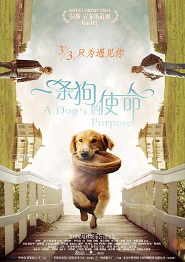 帅气的男神