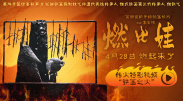麻豆精品视频在线观看视频