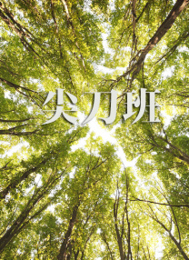 精久久久久久久