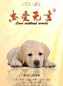亚洲最好看的视频