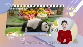 国产午夜精品不卡观看