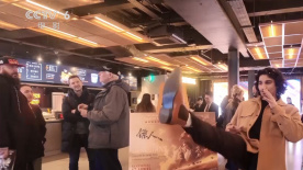 天天精品视频在线观看资源